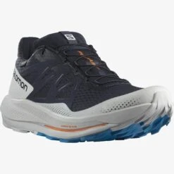 Salomon Men’s Pulsar Trail Gore-Tex (Night Sky/Lunar Rock/Indigo Bunting) -Hoka Store 366C156A 66F8 4697 92F0 085D8159BC09